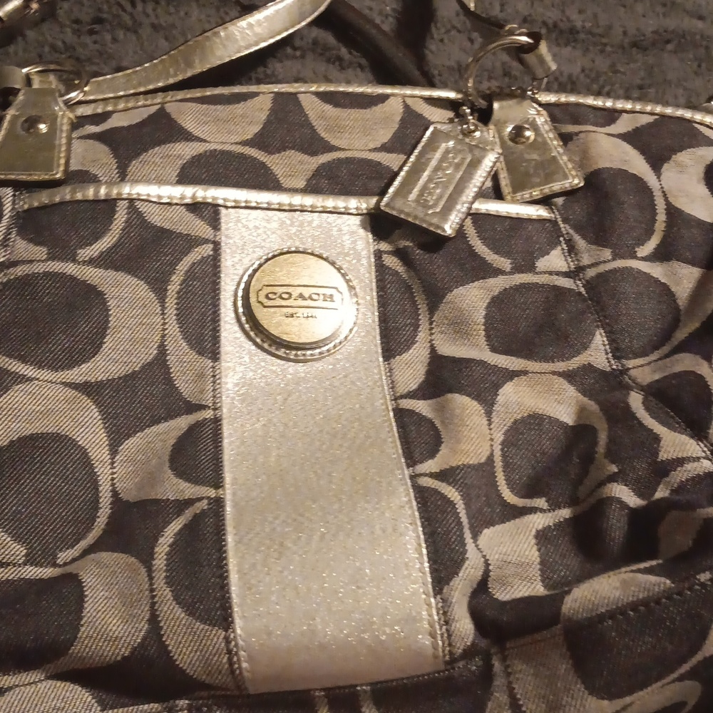 Demi coach purse